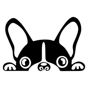 Naklejka piesek Buldog Francuski