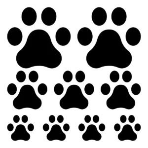 Naklejka Łapki arkusz 20x20 cm